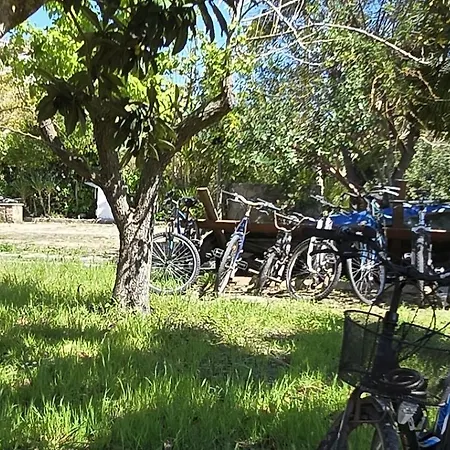 In Bicicletta