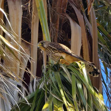 In Bicicletta Bed & Breakfast
