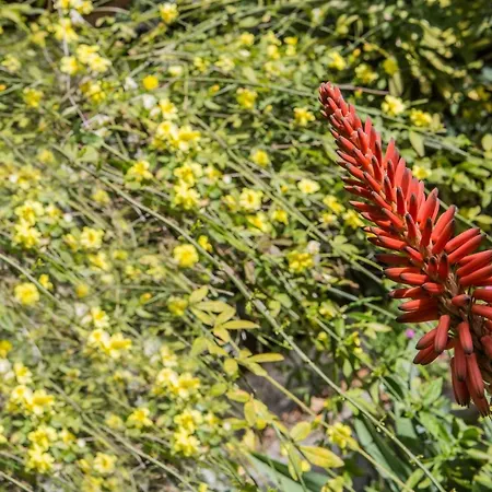 In Bicicletta 3* Alghero