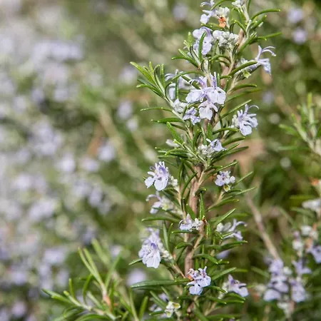 In Bicicletta Alghero