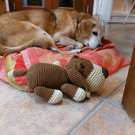 Bed and breakfast In Bicicletta Alguer