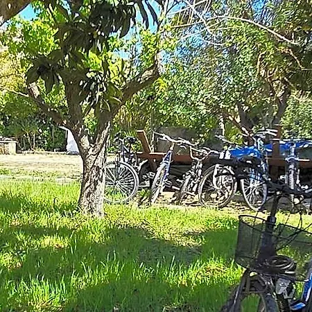 In Bicicletta 3* 알게로