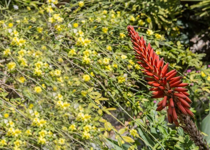 In Bicicletta 3* Alghero
