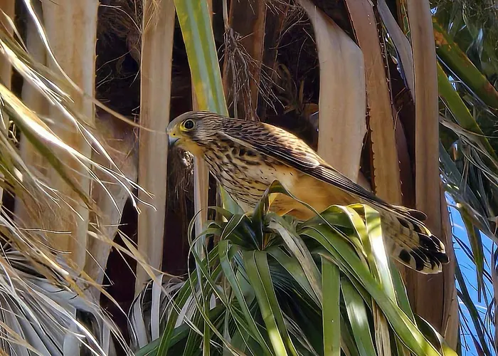 In Bicicletta Alojamento de Acomodação e Pequeno-almoço