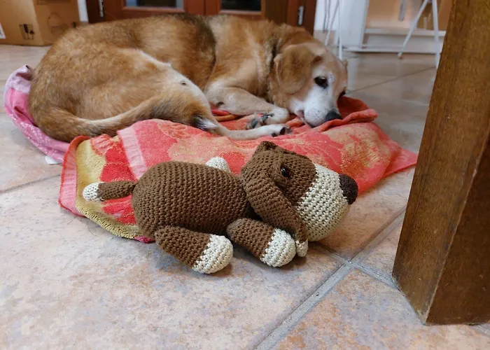 Alojamento de Acomodação e Pequeno-almoço In Bicicletta Alghero