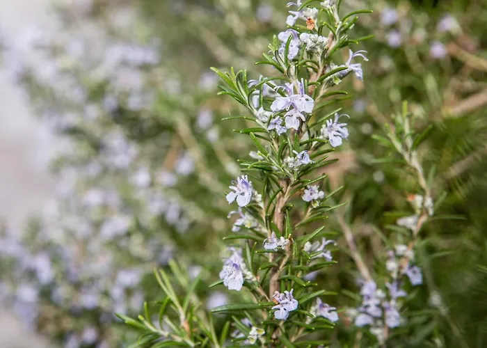 In Bicicletta Alghero
